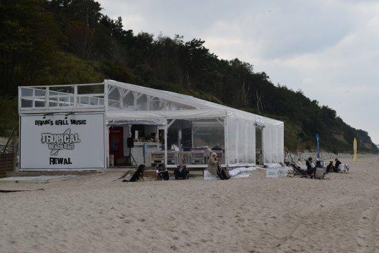 Tropical Beach Bar